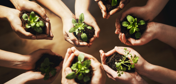 Picture of seven pairs of hands holding little plants.